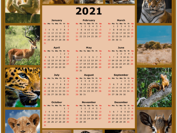 Full Year Calendar