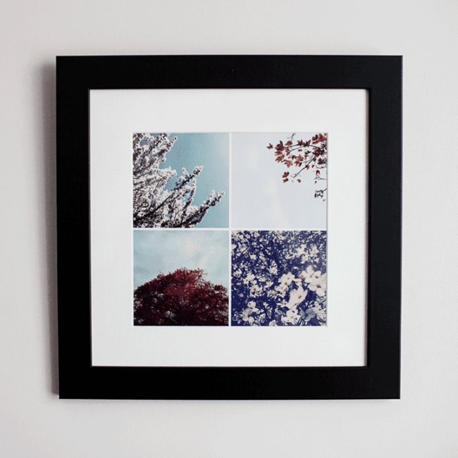 FramedPrints_04_Orange