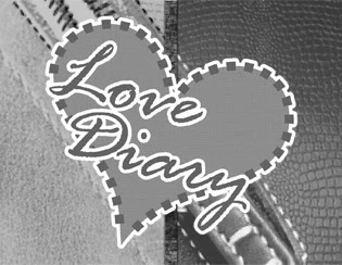 Love Diary S
