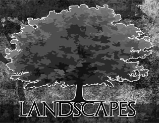Landscapes H